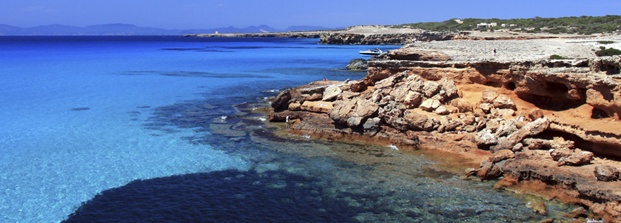 7 claves para admirar la belleza floral de Formentera ¡en primavera!